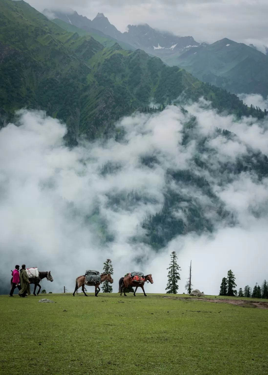 Photo of Kashmir Great Lakes Trek By Anita Prasad