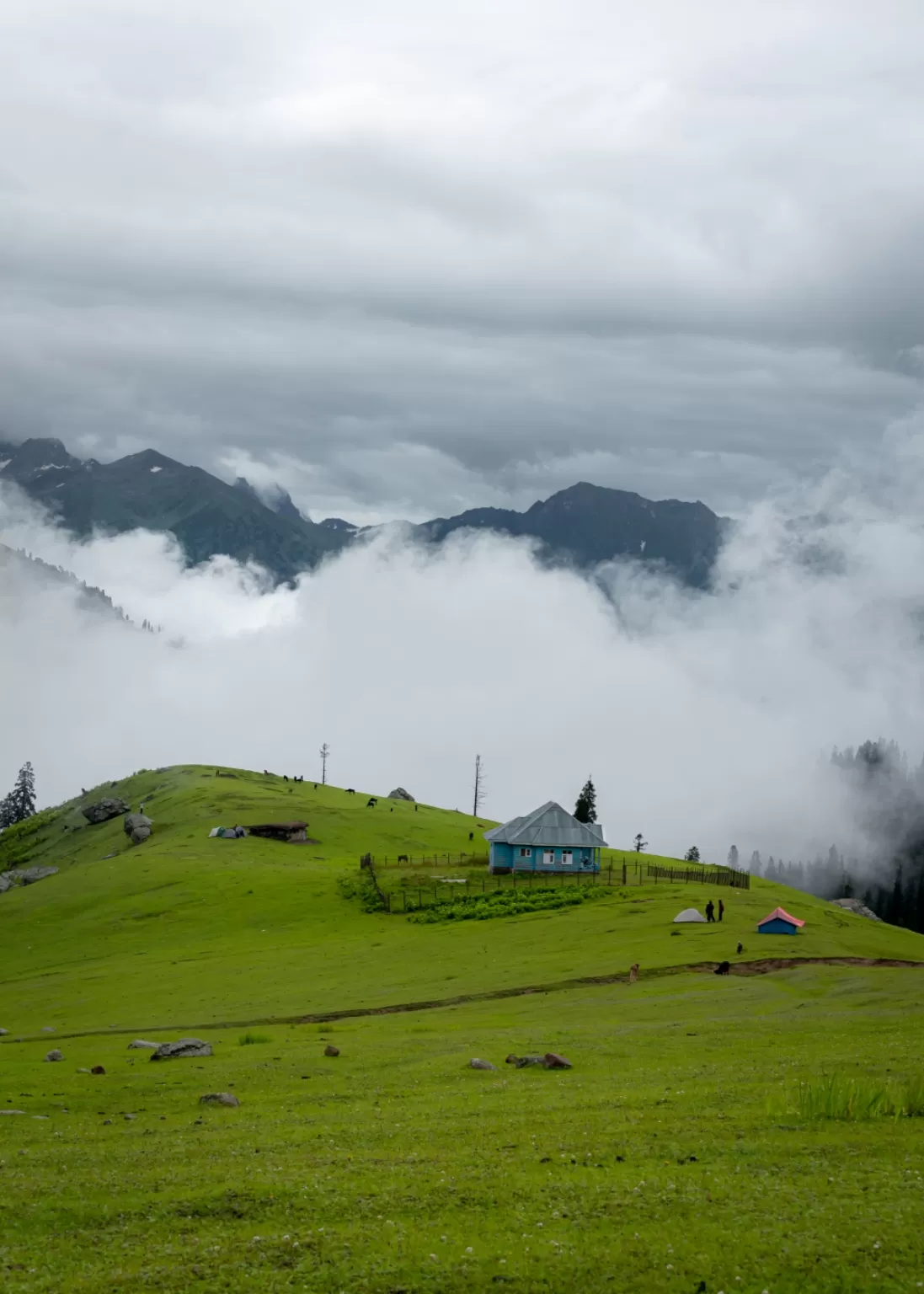 Photo of Kashmir Great Lakes Trek By Anita Prasad