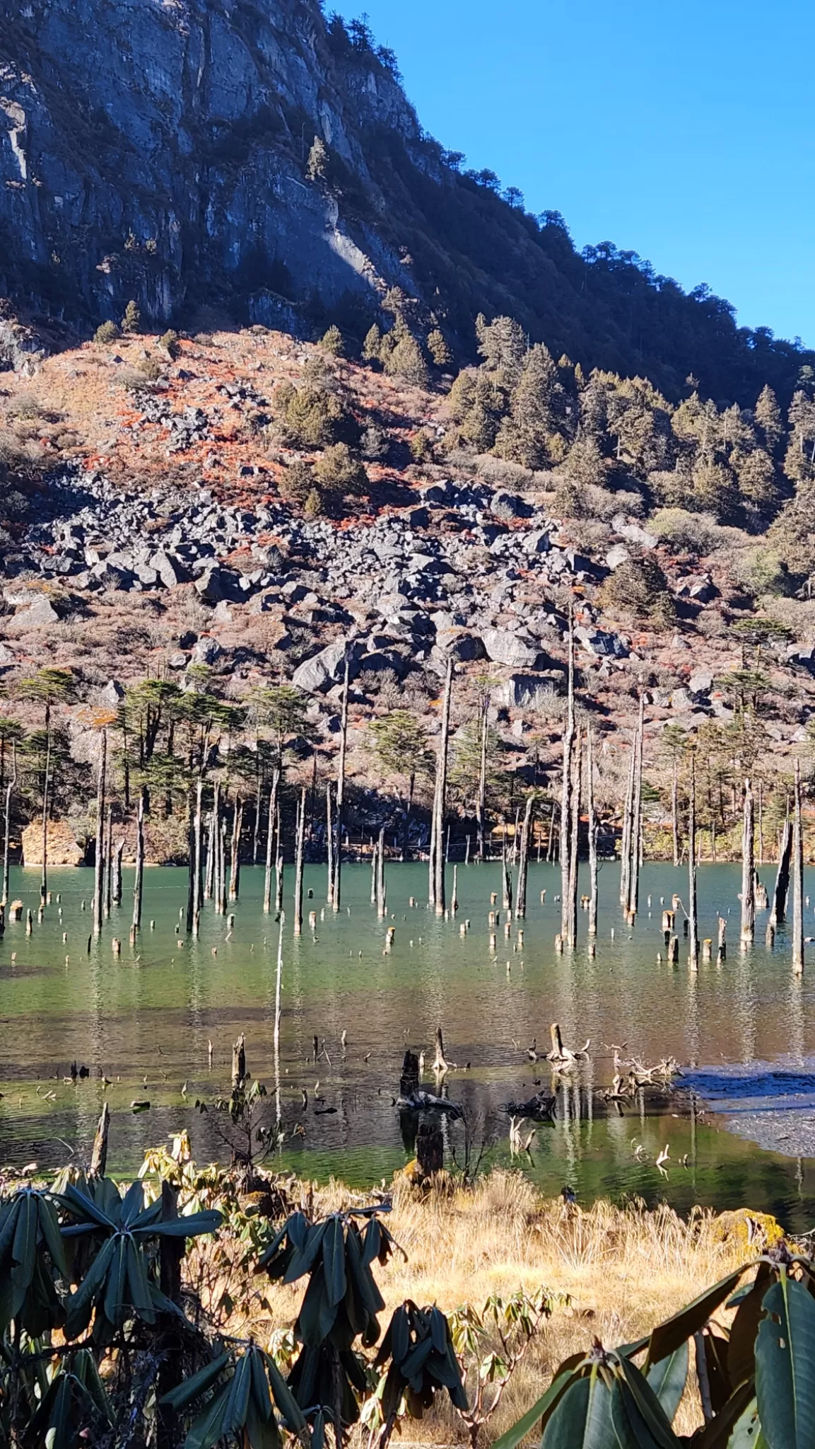 Photo of Arunachal Pradesh By Anita Prasad