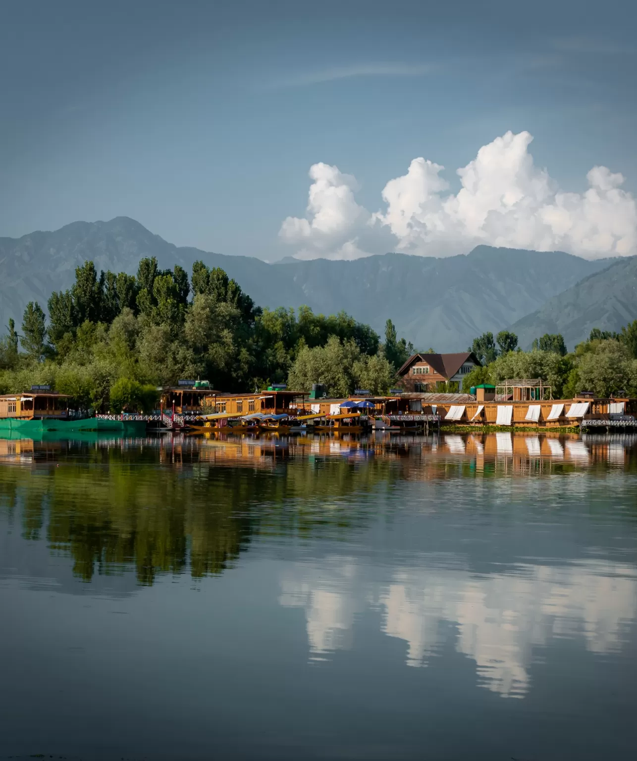 Photo of Srinagar By Anita Prasad