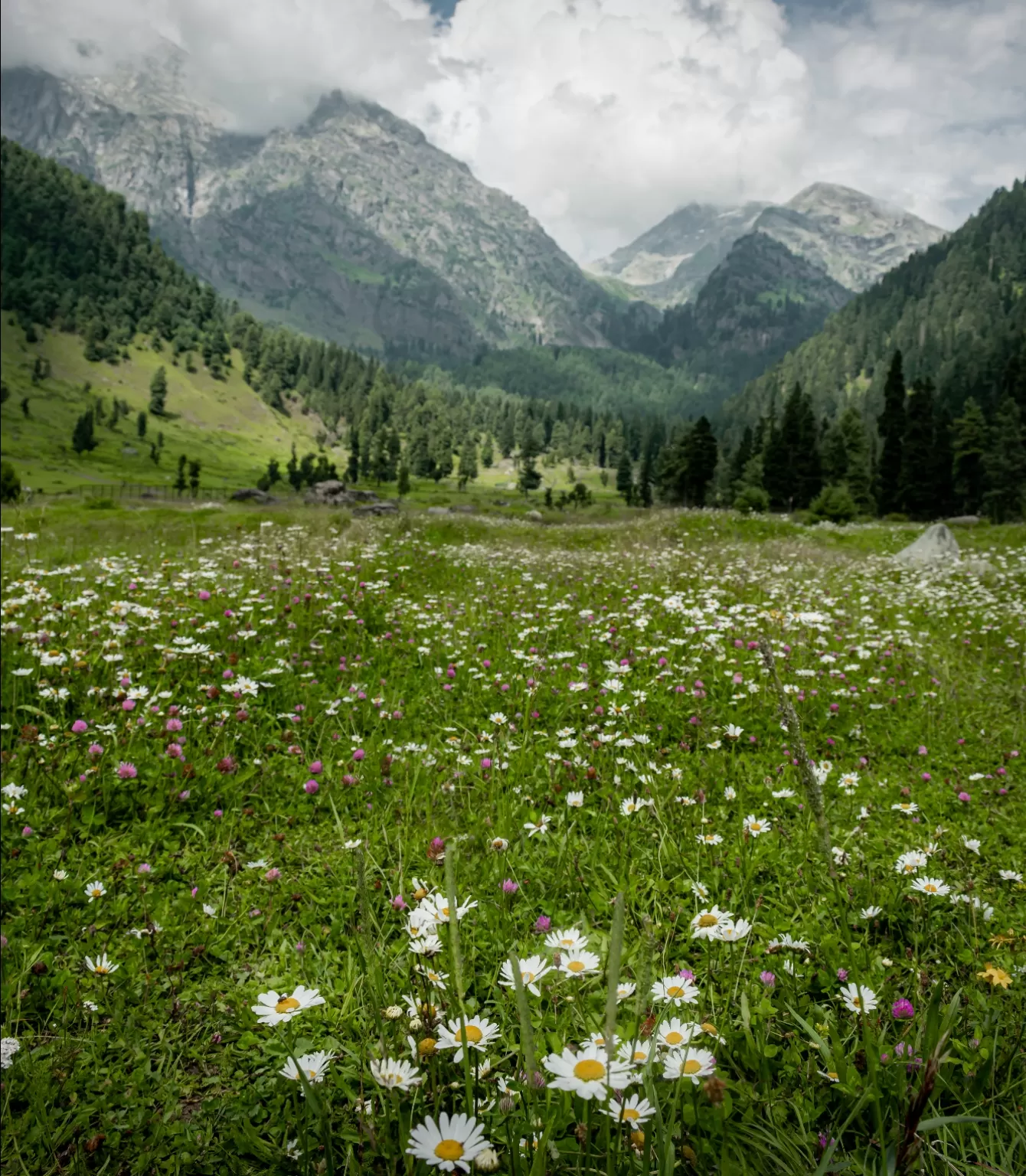 Photo of Srinagar By Anita Prasad