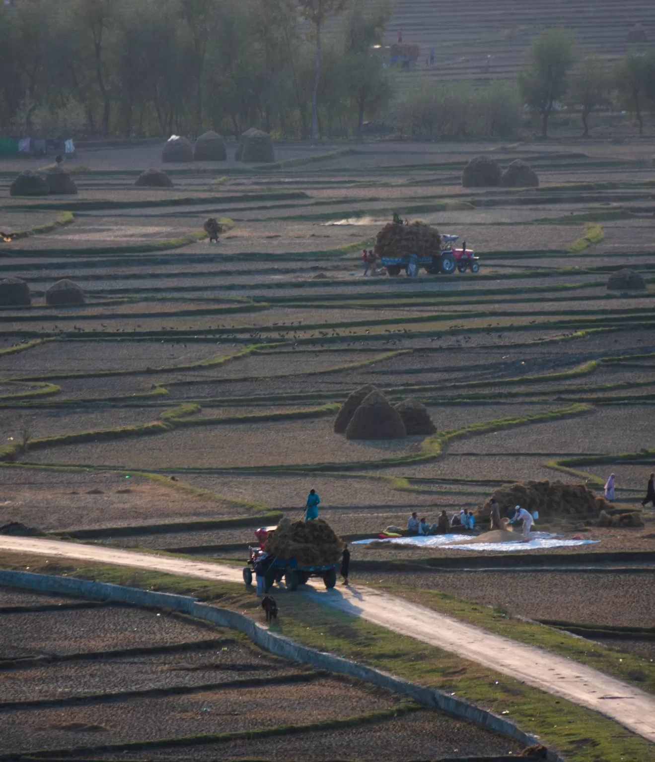 Photo of Srinagar By Anita Prasad