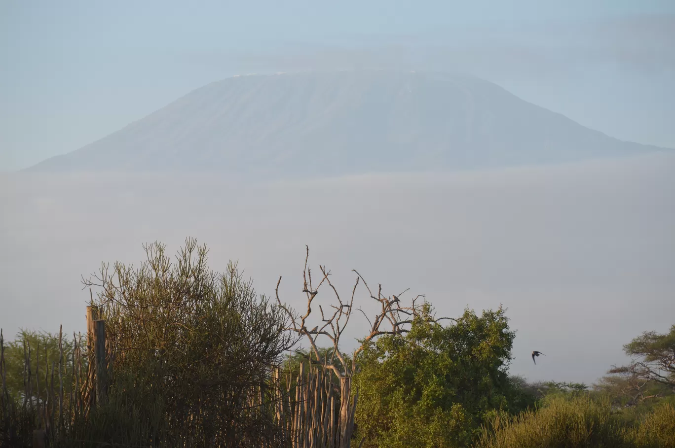 Photo of Amboseli National Park By Tulip Vacations