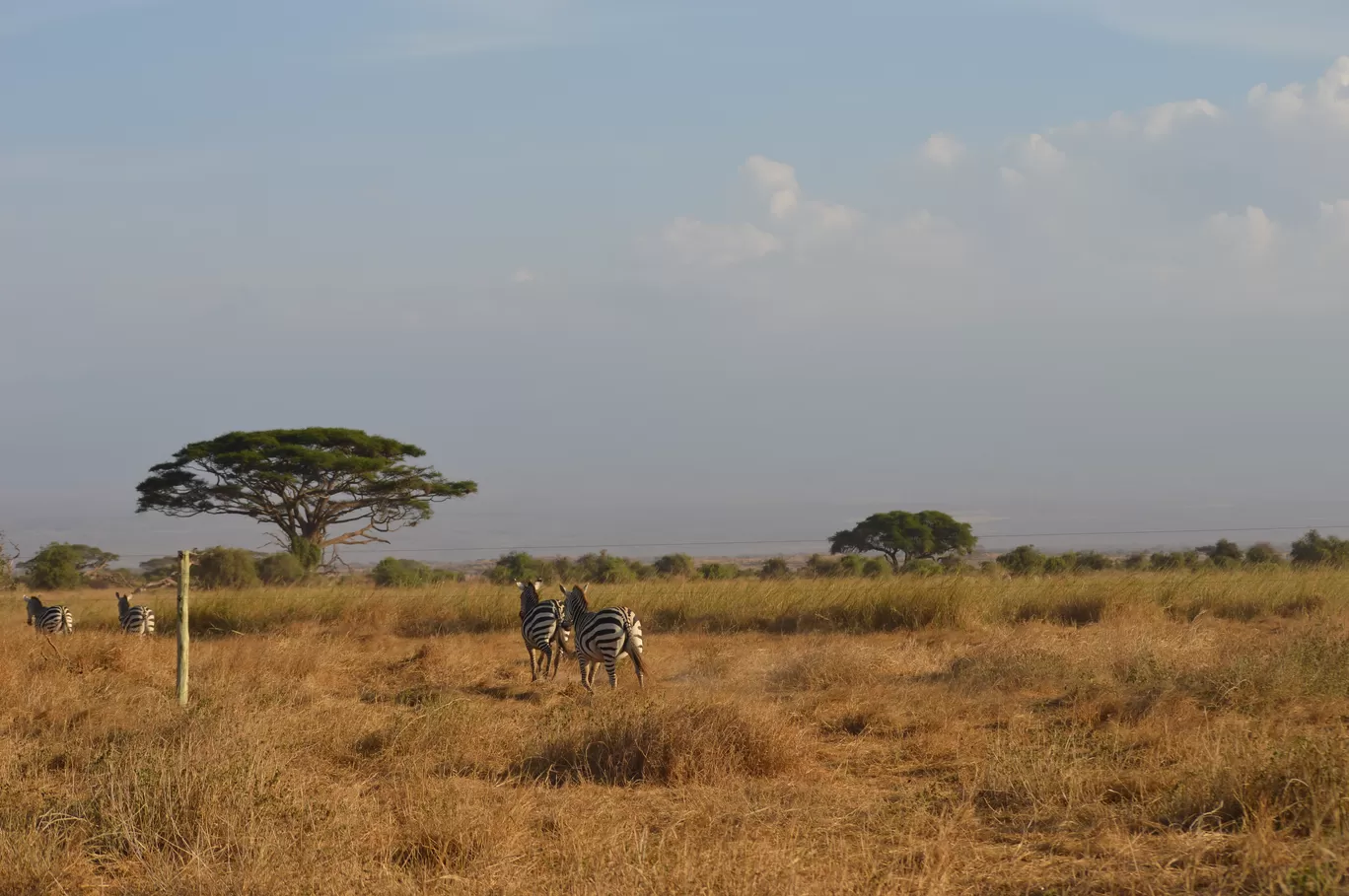 Photo of Amboseli National Park By Tulip Vacations