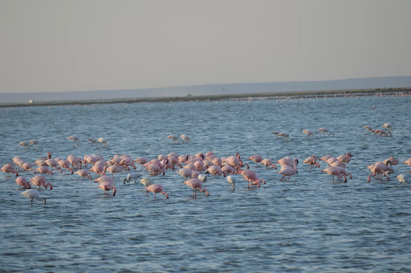 Photo of Amboseli National Park By Tulip Vacations