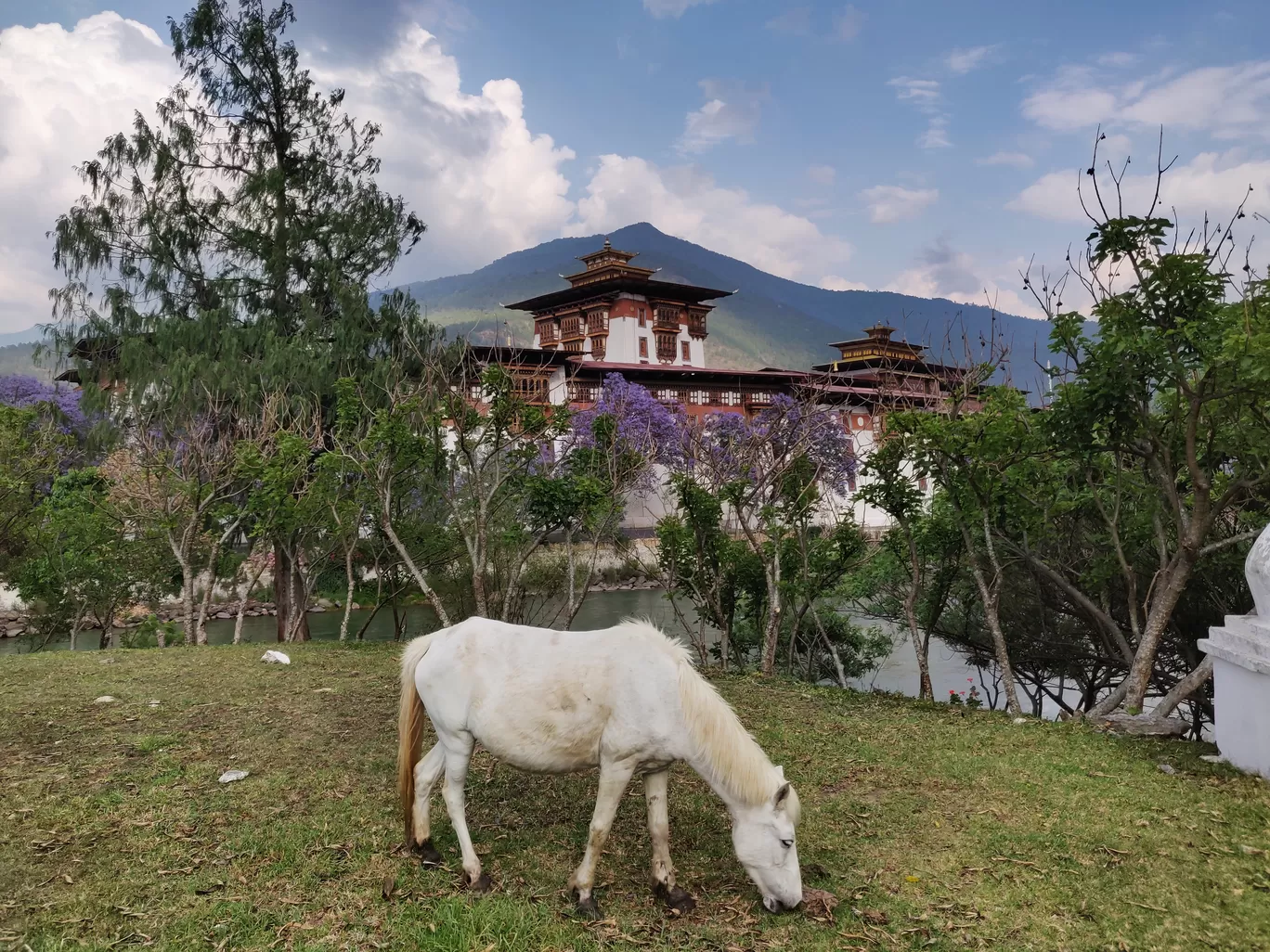 Photo of Punakha Dzong By hemanth paladugu