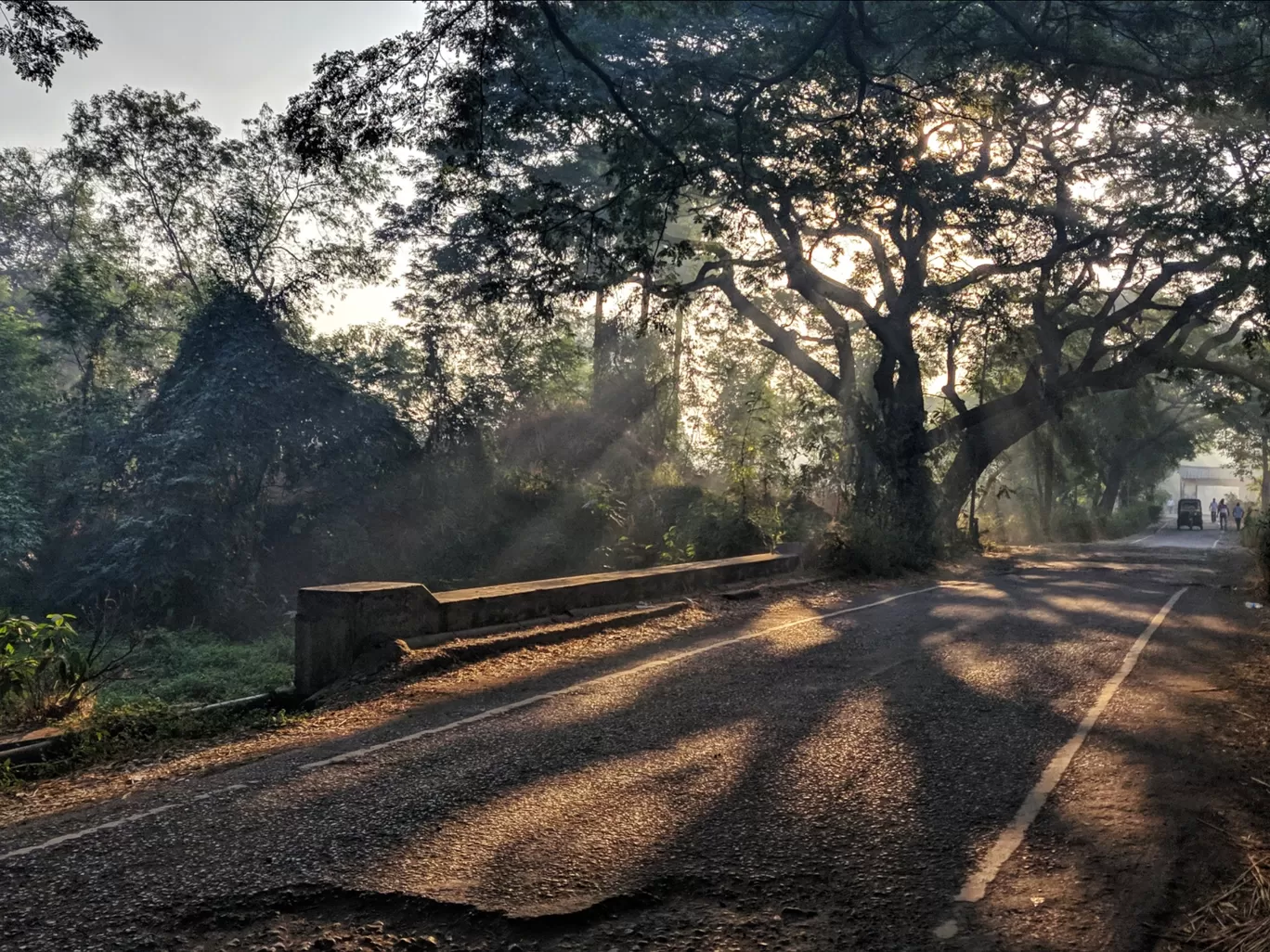 Photo of Aarey Forest By hemanth paladugu