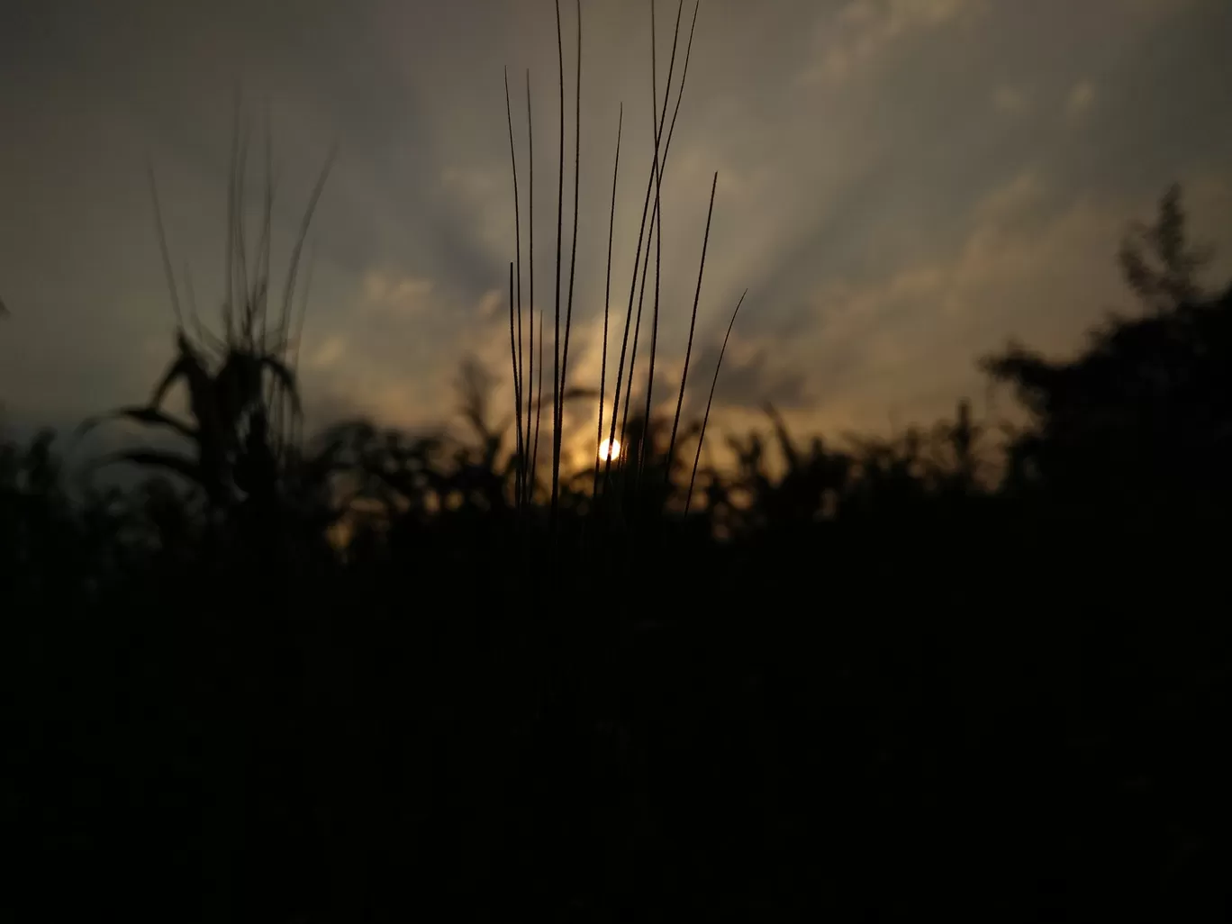 Photo of Diu Island By haresh rajpara