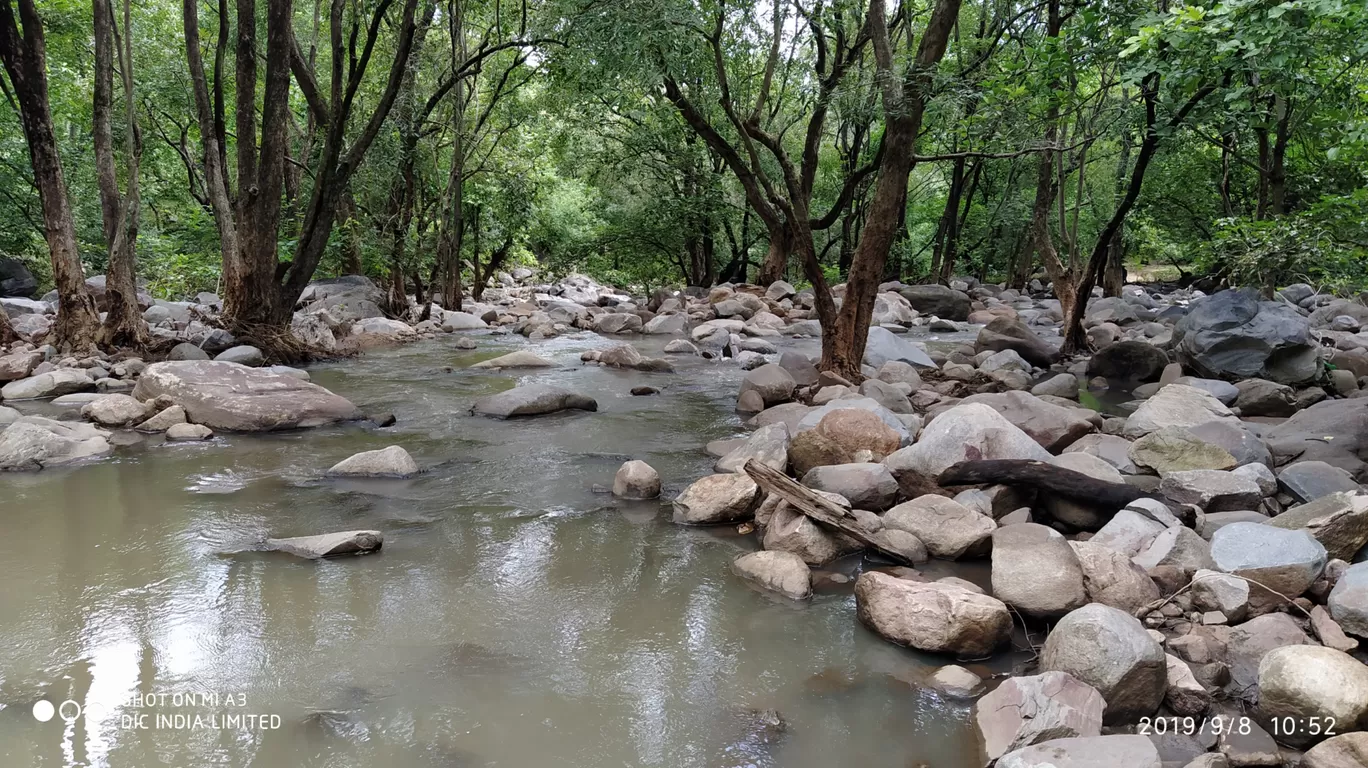 Photo of Ratanmahal Sloth Bear Sanctuary By Hardik Jayswal