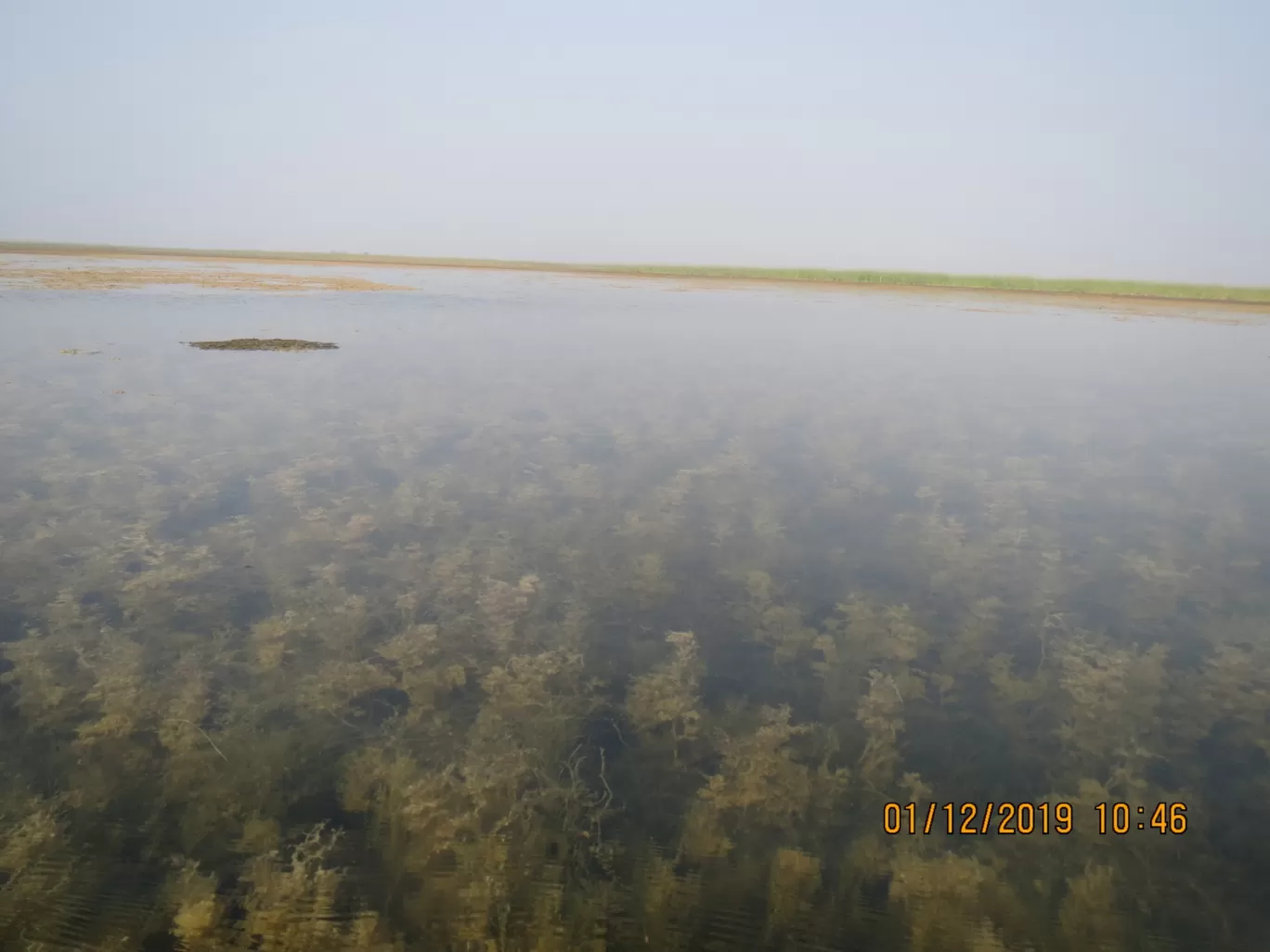 Photo of Nalsarovar By Hardik Jayswal