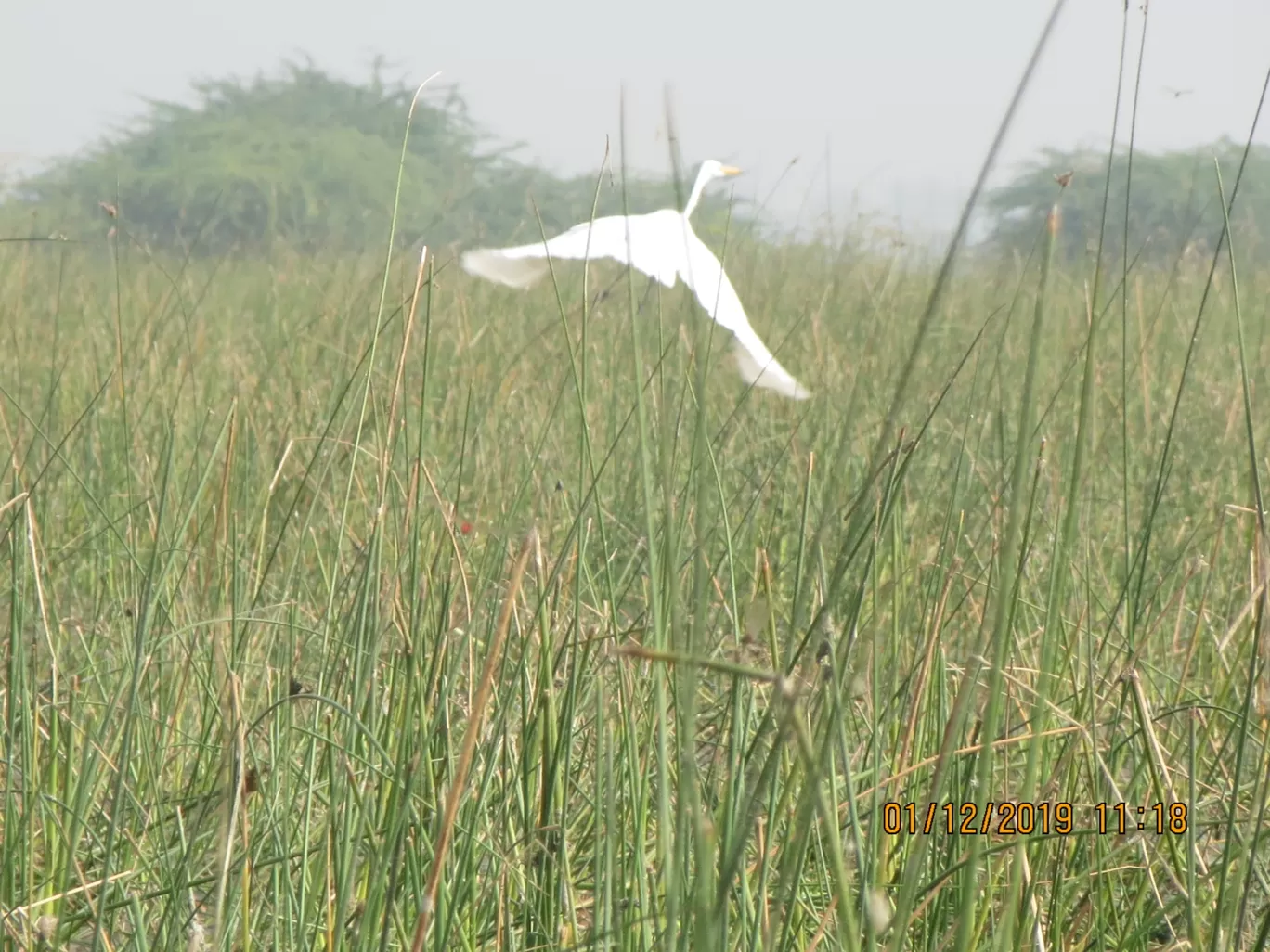 Photo of Nalsarovar By Hardik Jayswal