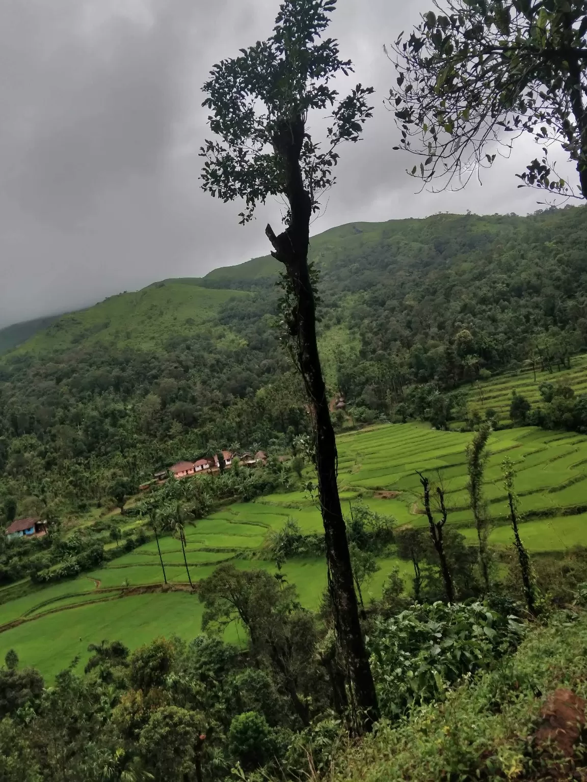 Photo of Kudremukh By Krithika Thangavel