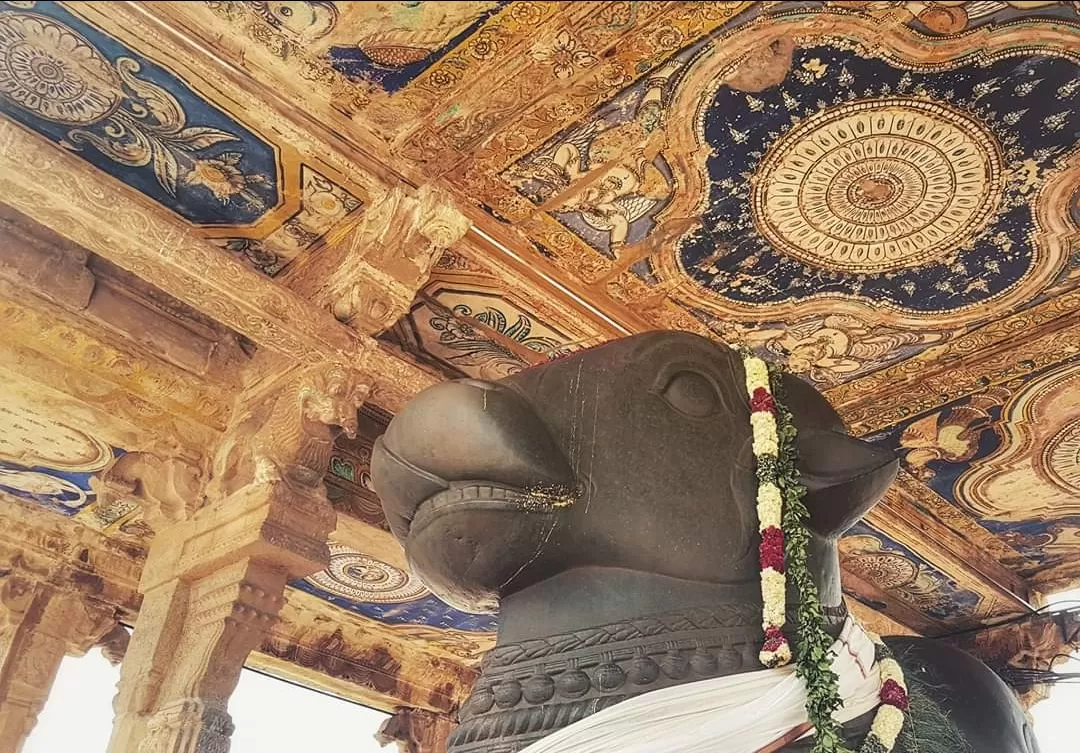 Photo of Brihadeeswara Temple By thesunnyside