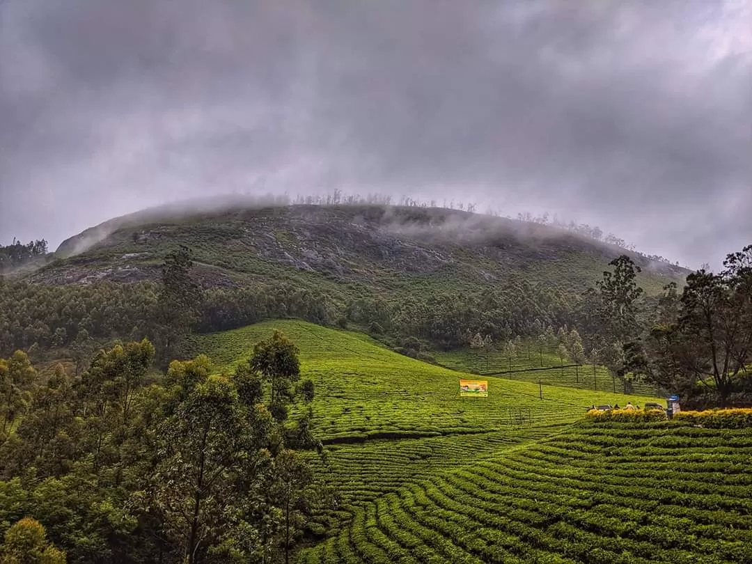 Photo of Munnar By thesunnyside