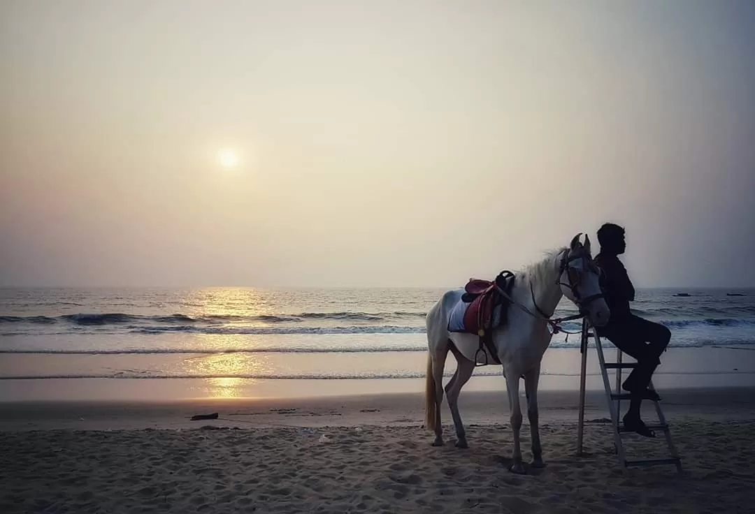 Photo of Tannirbhavi Beach By thesunnyside