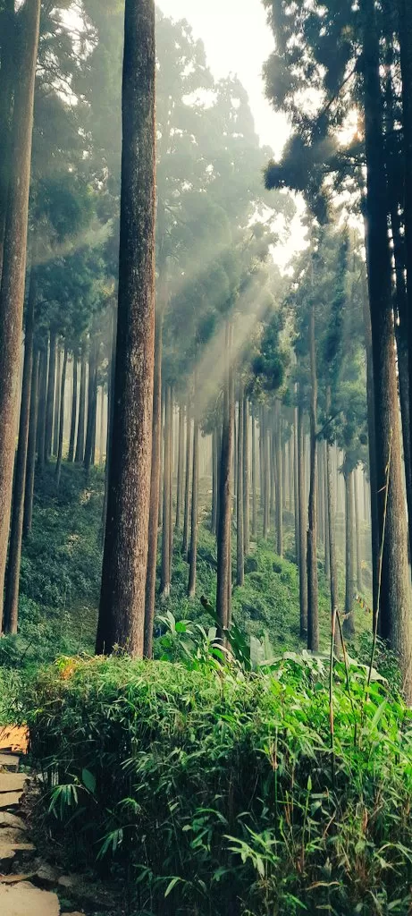 Photo of Takdah By Poulami Mukherjee