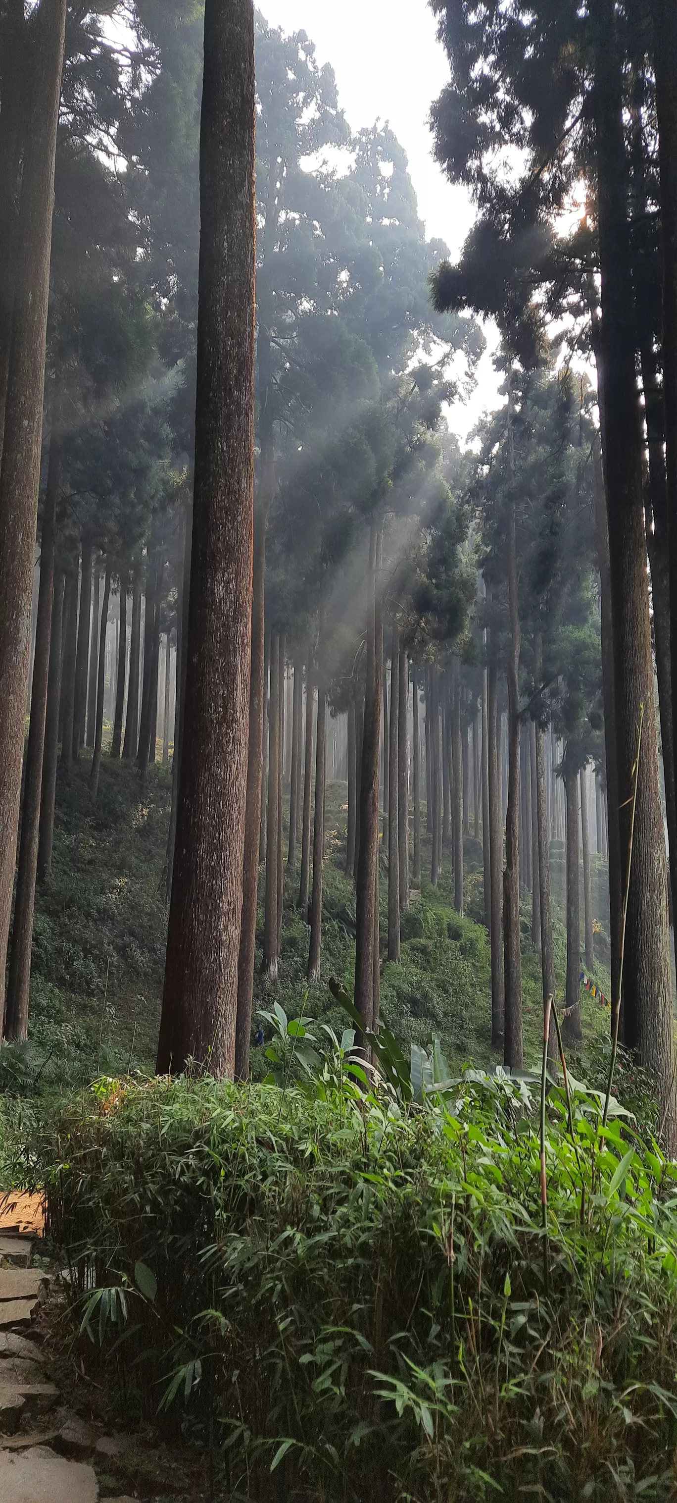Photo of Takdah By Poulami Mukherjee
