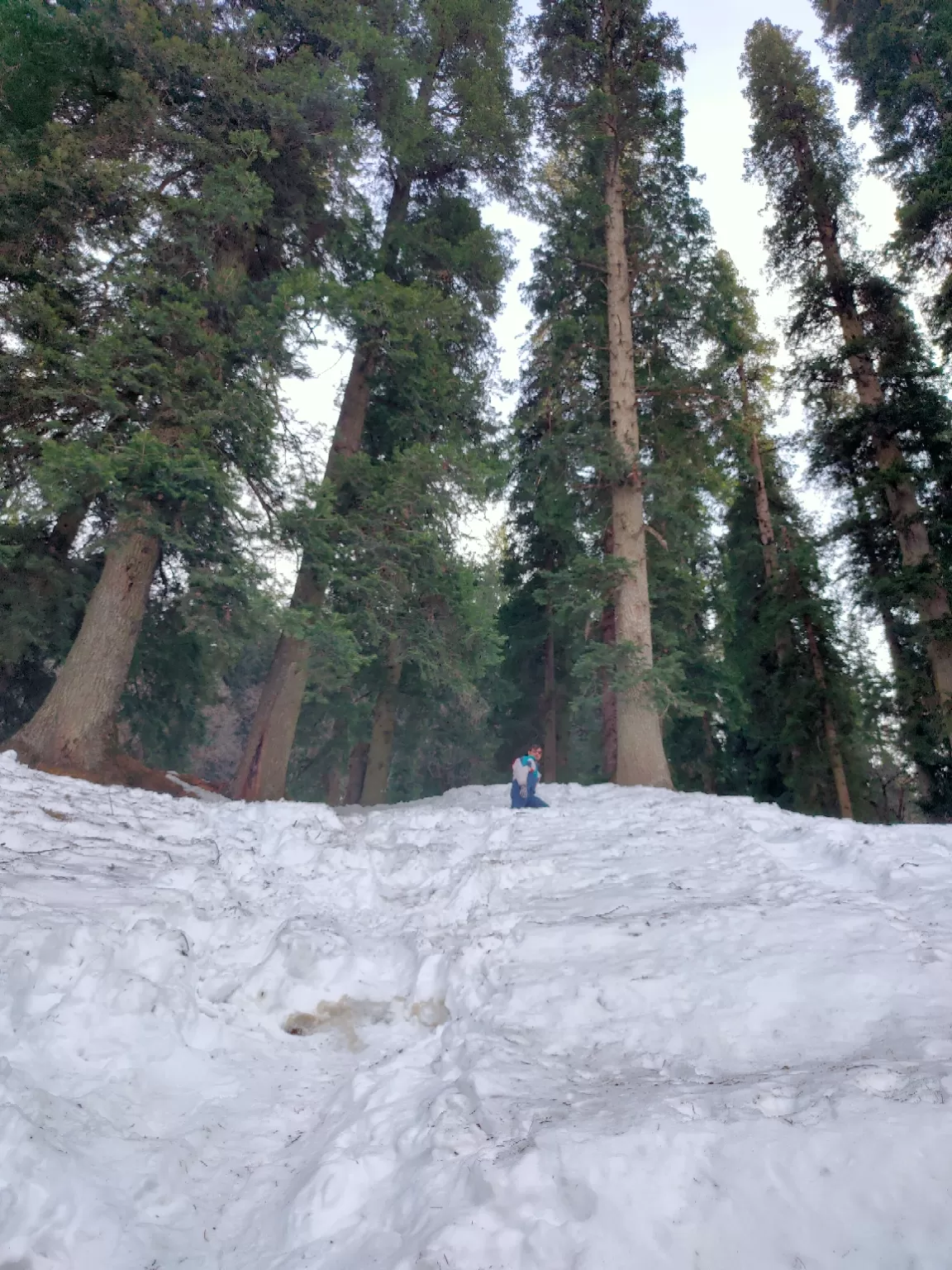 Photo of Hampta Pass Trek Camp Himalayan Mountain Sojourns By Pawan Sharma