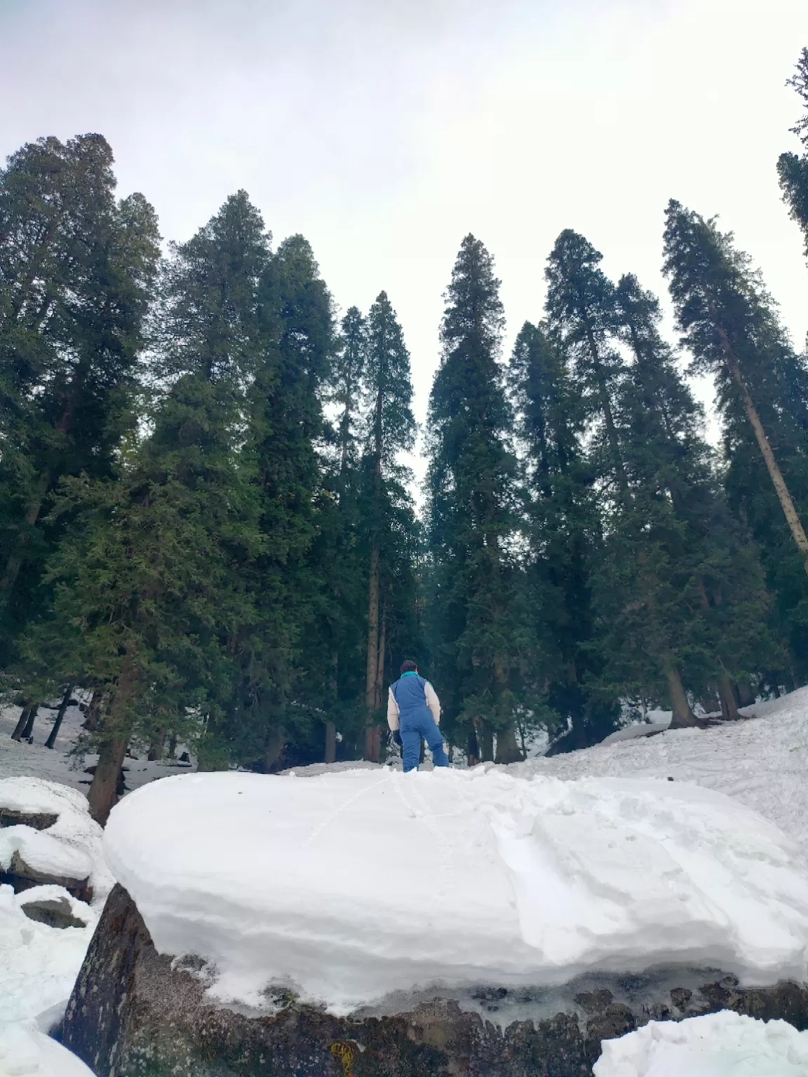 Photo of Hampta Pass Trek Camp Himalayan Mountain Sojourns By Pawan Sharma