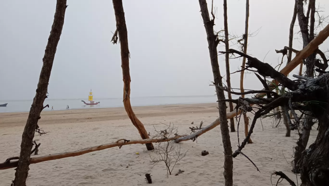 Photo of Talsari Beach By Sayan Majumder