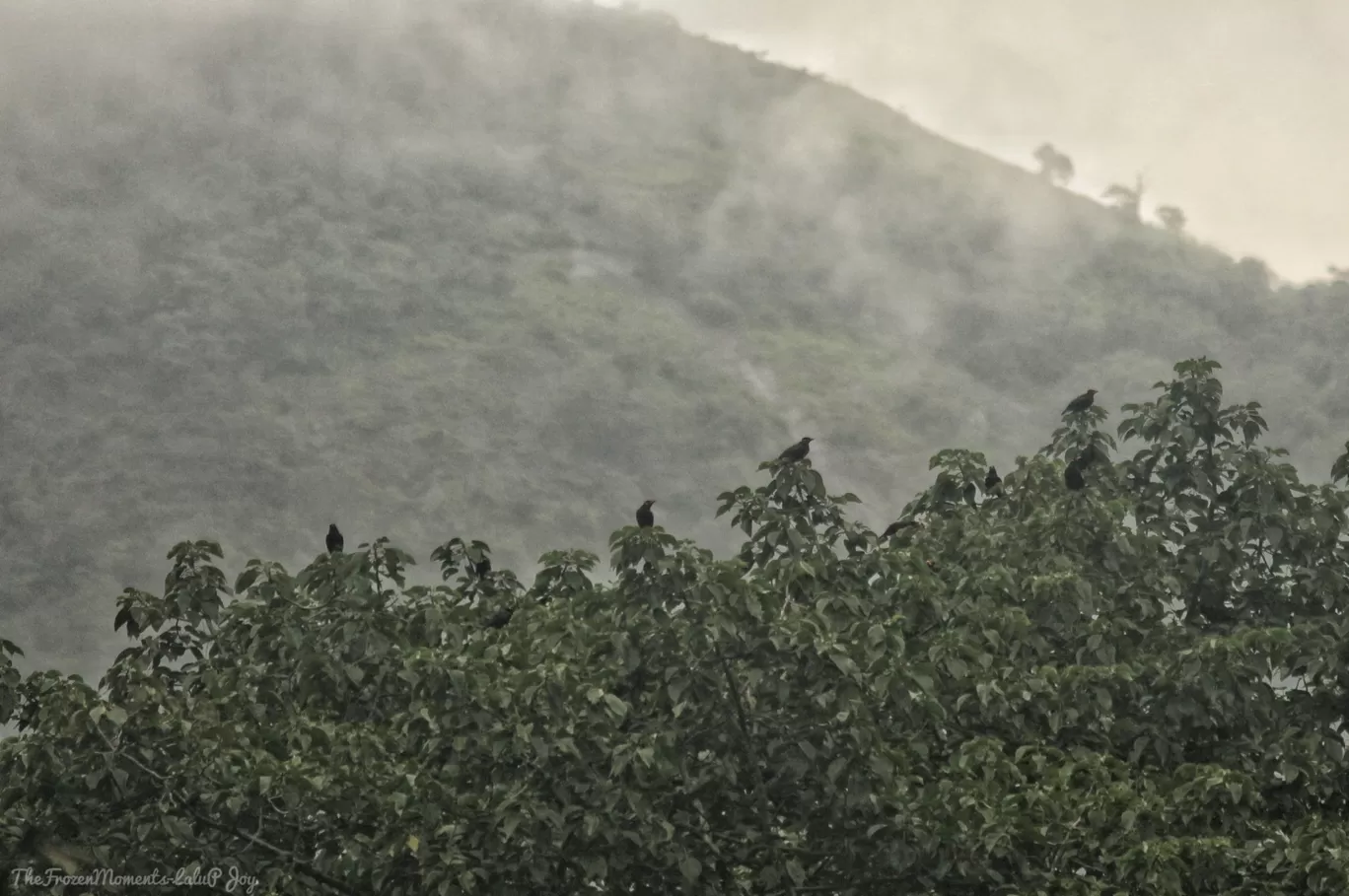 Photo of Mankulam By Lalu P Joy