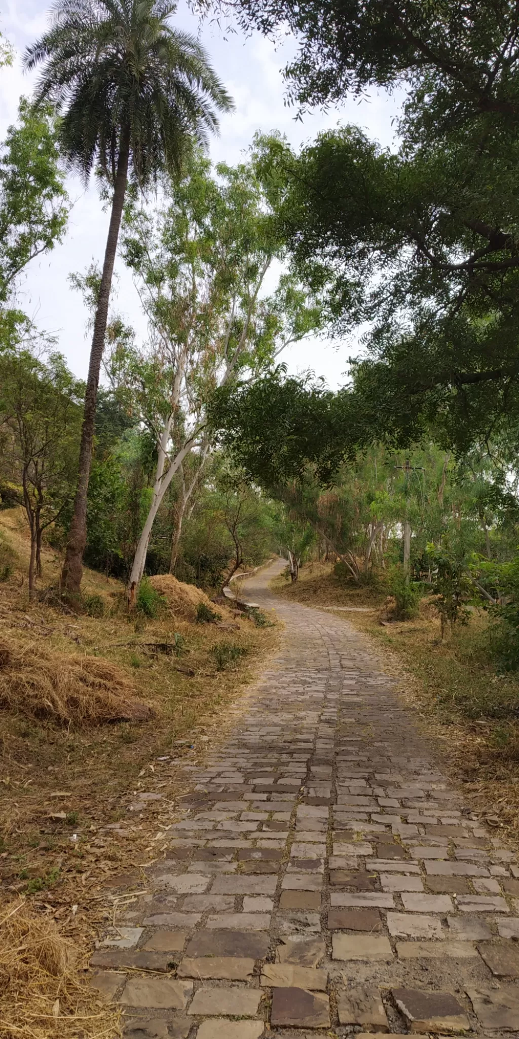 Photo of Gagron Fort By Rohit sharma