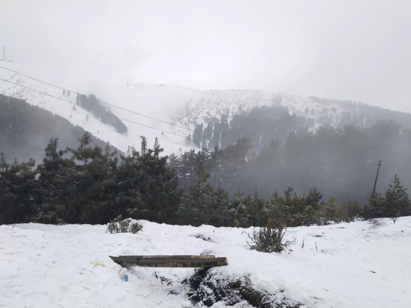 Photo of Patnitop By Kesar Dogra J&K