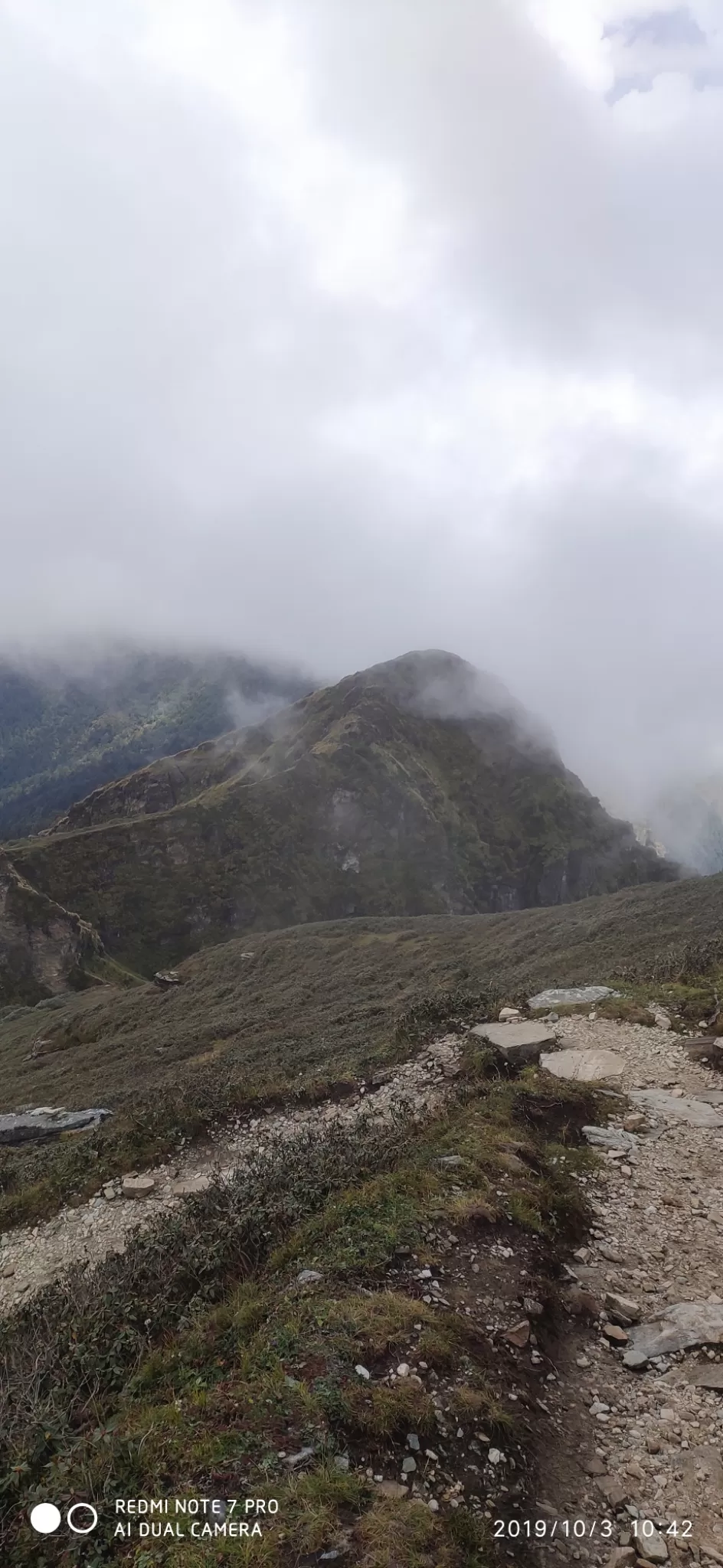 Photo of Chopta By chunky diaries