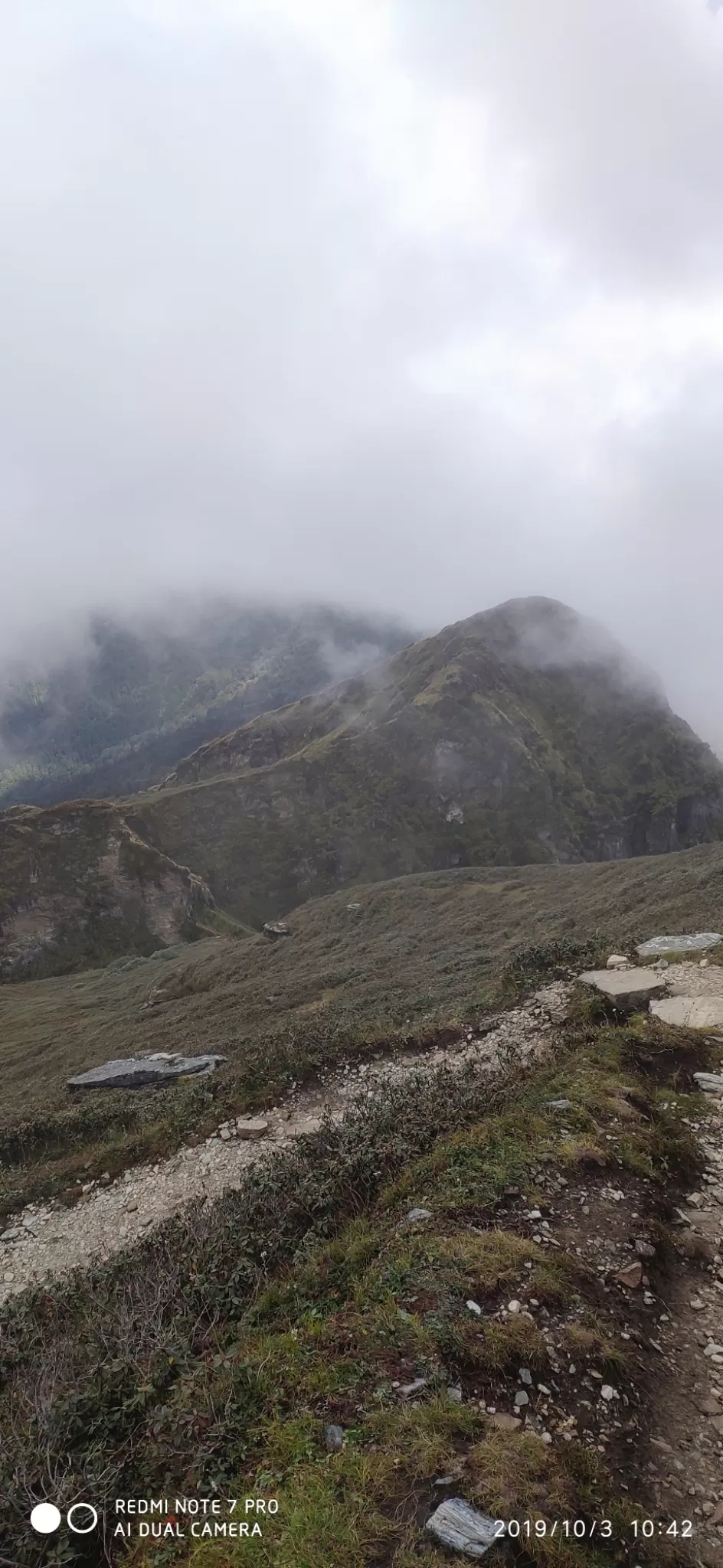 Photo of Chopta By chunky diaries