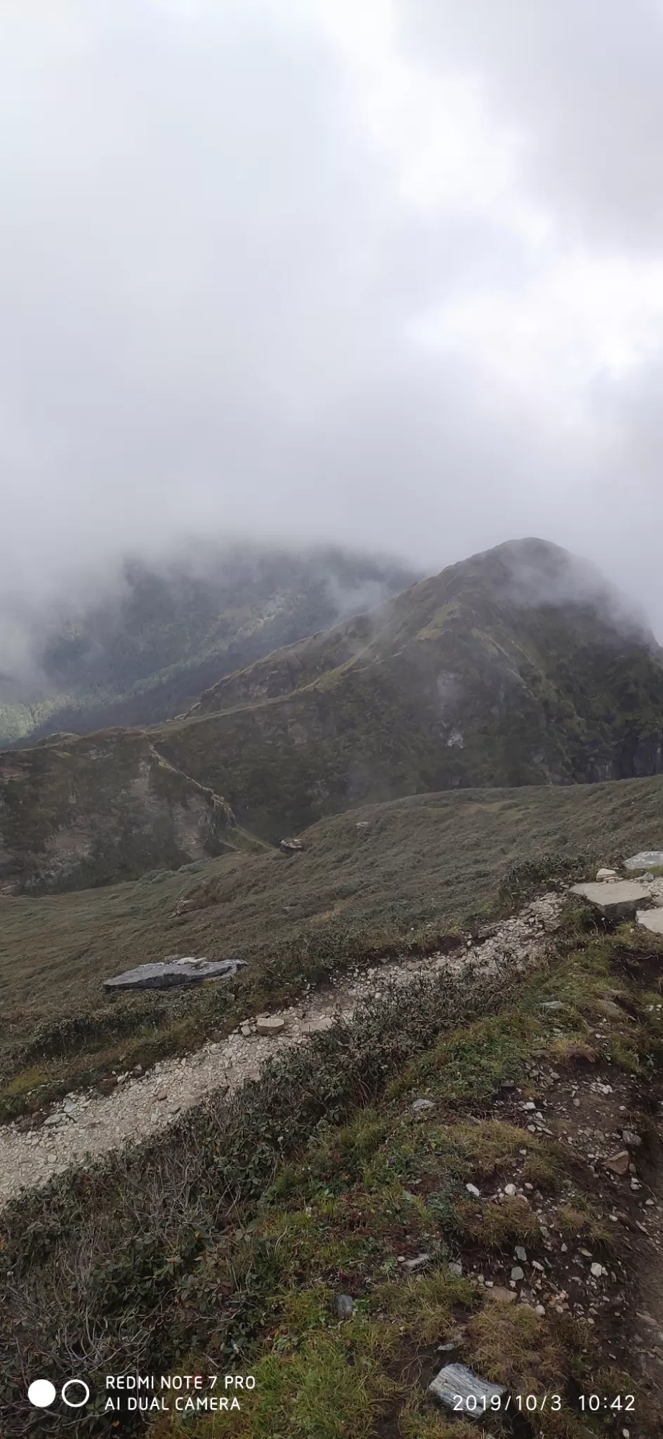 Photo of Chopta By chunky diaries