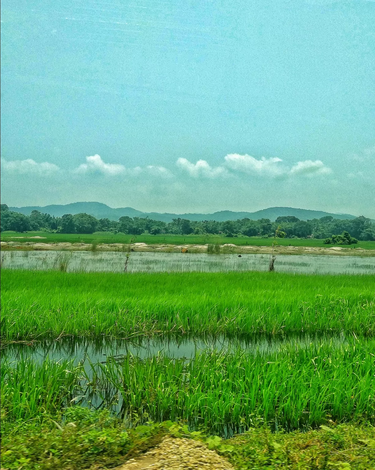 Photo of Assam By Anusuya