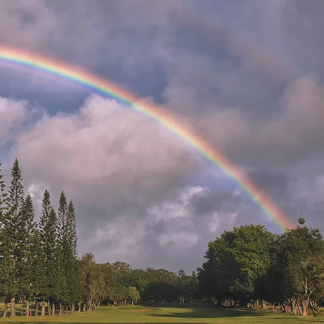 Photo of Mauritius By Pause A Little