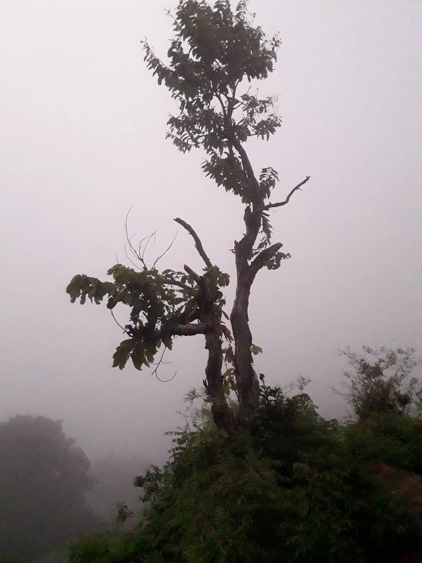 Photo of Duduma Water Fall By JAGADEESH KARAGANI