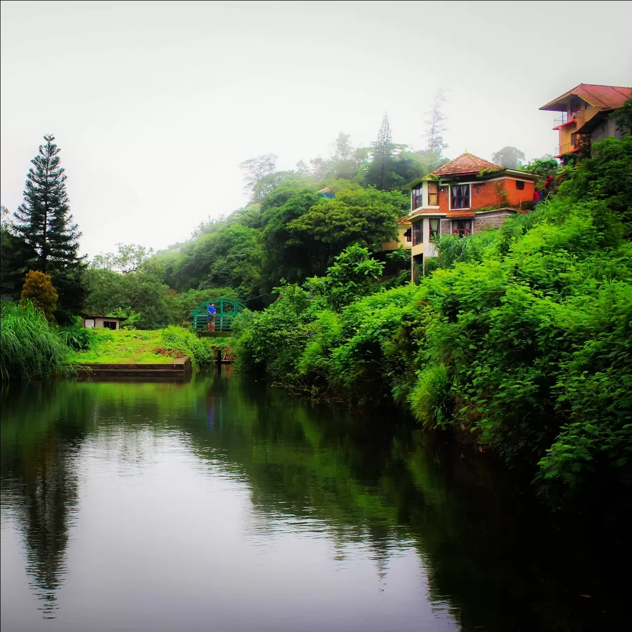 Photo of Vagamon Hills By Rajesh