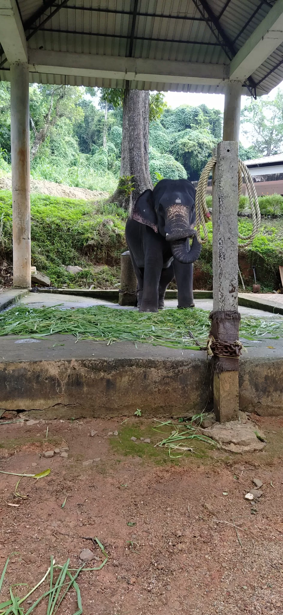 Photo of Konni Eco-Tourism Centre By Abhi Jith Mattathil