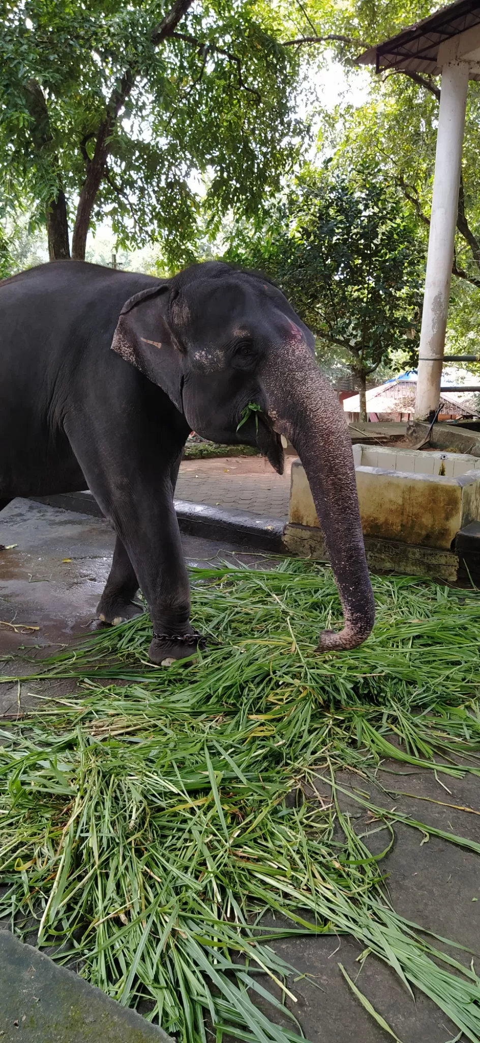 Photo of Konni Eco-Tourism Centre By Abhi Jith Mattathil