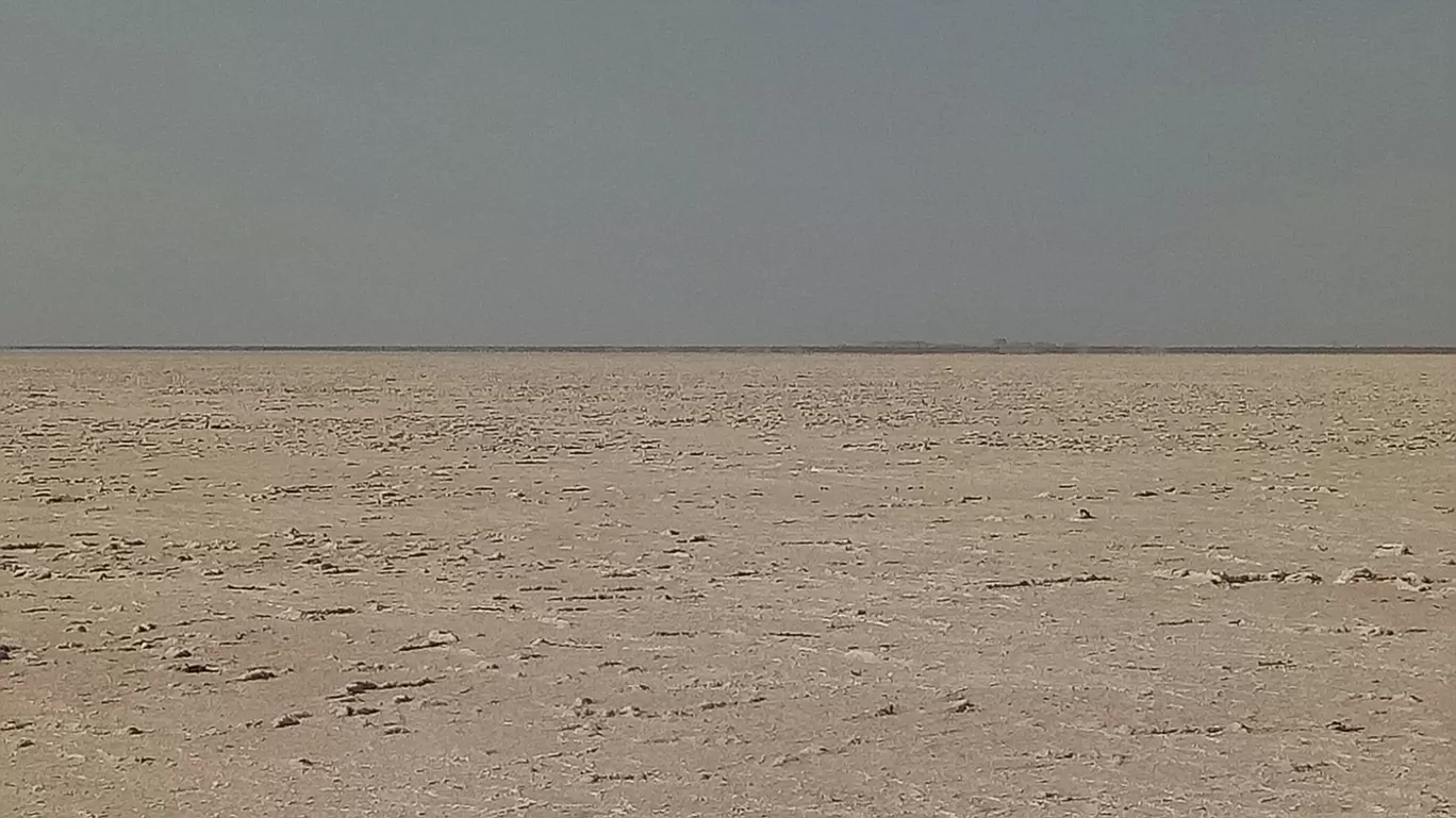 Photo of Rann of Kutch By Gayatri Mishra (@travelwithsassygirl)