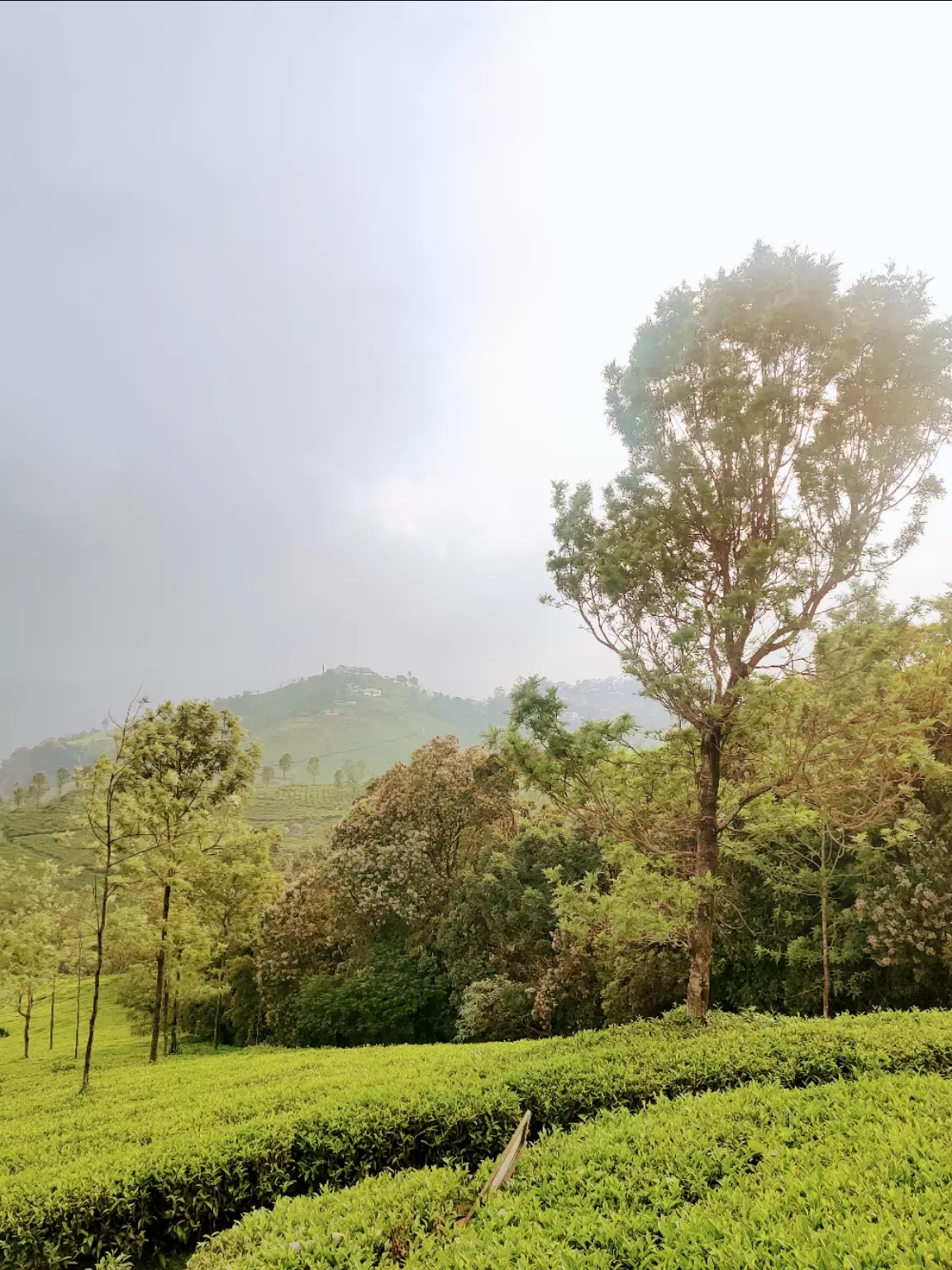 Photo of Ooty By Shilpi Singh