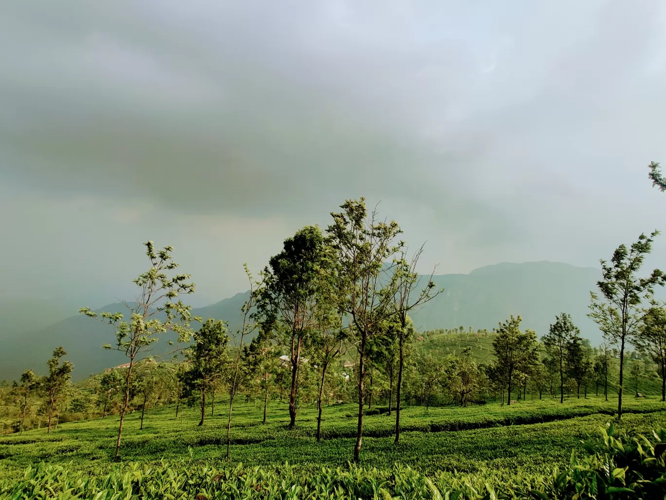 Photo of Ooty By Shilpi Singh