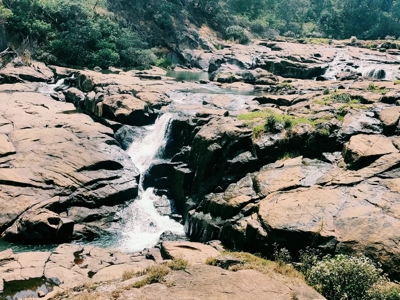 Photo of Ooty By Shilpi Singh