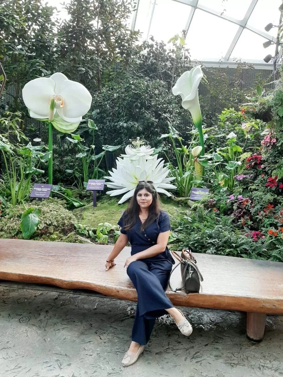 Photo of Singapore By Shivani Chaturvedi 
