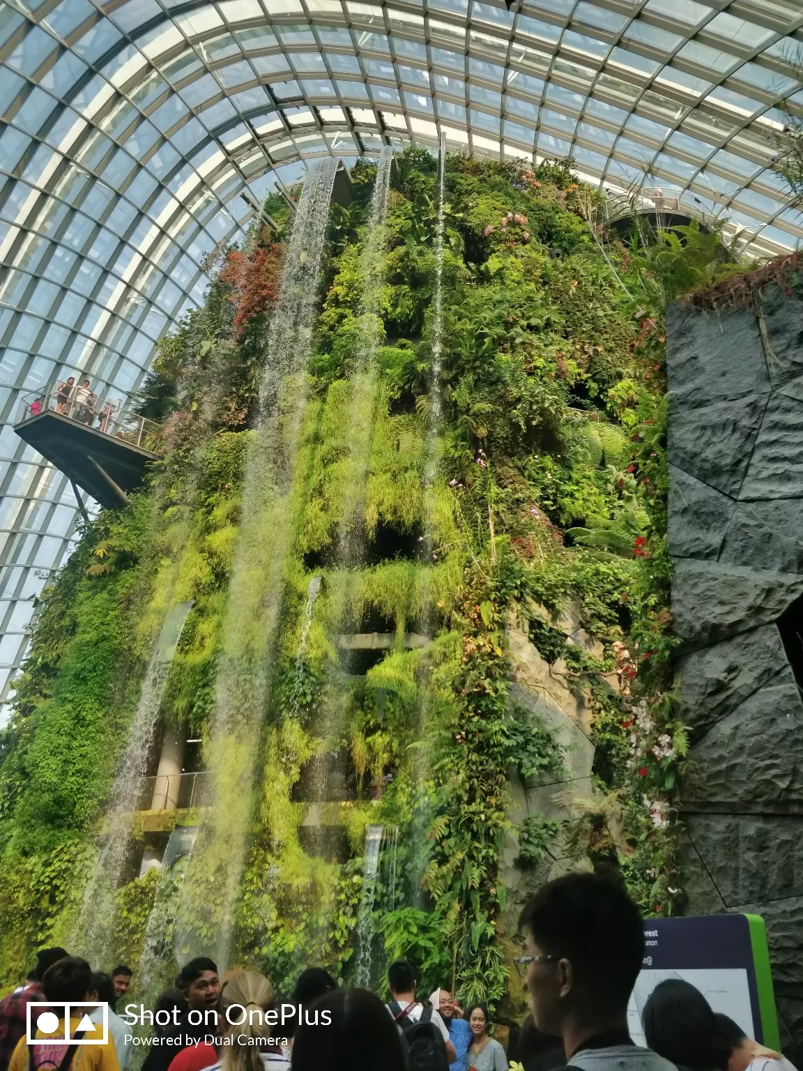 Photo of Singapore By Shivani Chaturvedi 