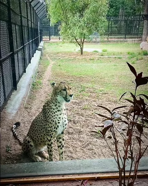 Photo of Mysore Zoo By Shivani Chaturvedi 