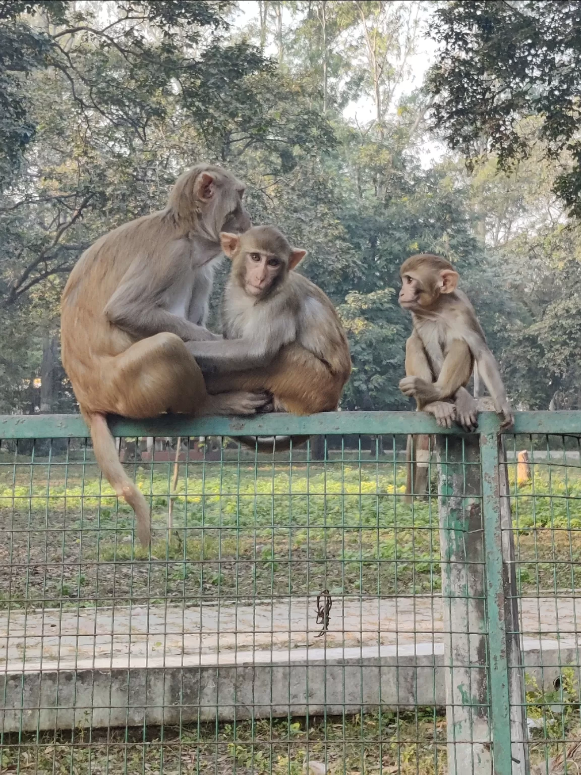Photo of Shaheed Chandra Shekhar Azad Bird Sanctuary By Shivani Chaturvedi 