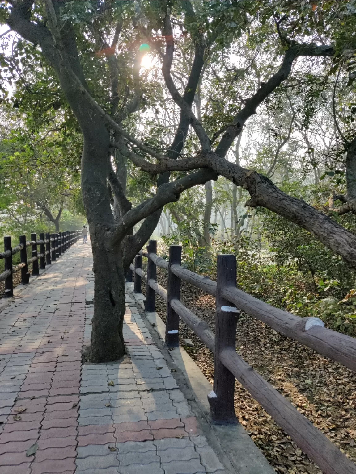 Photo of Shaheed Chandra Shekhar Azad Bird Sanctuary By Shivani Chaturvedi 