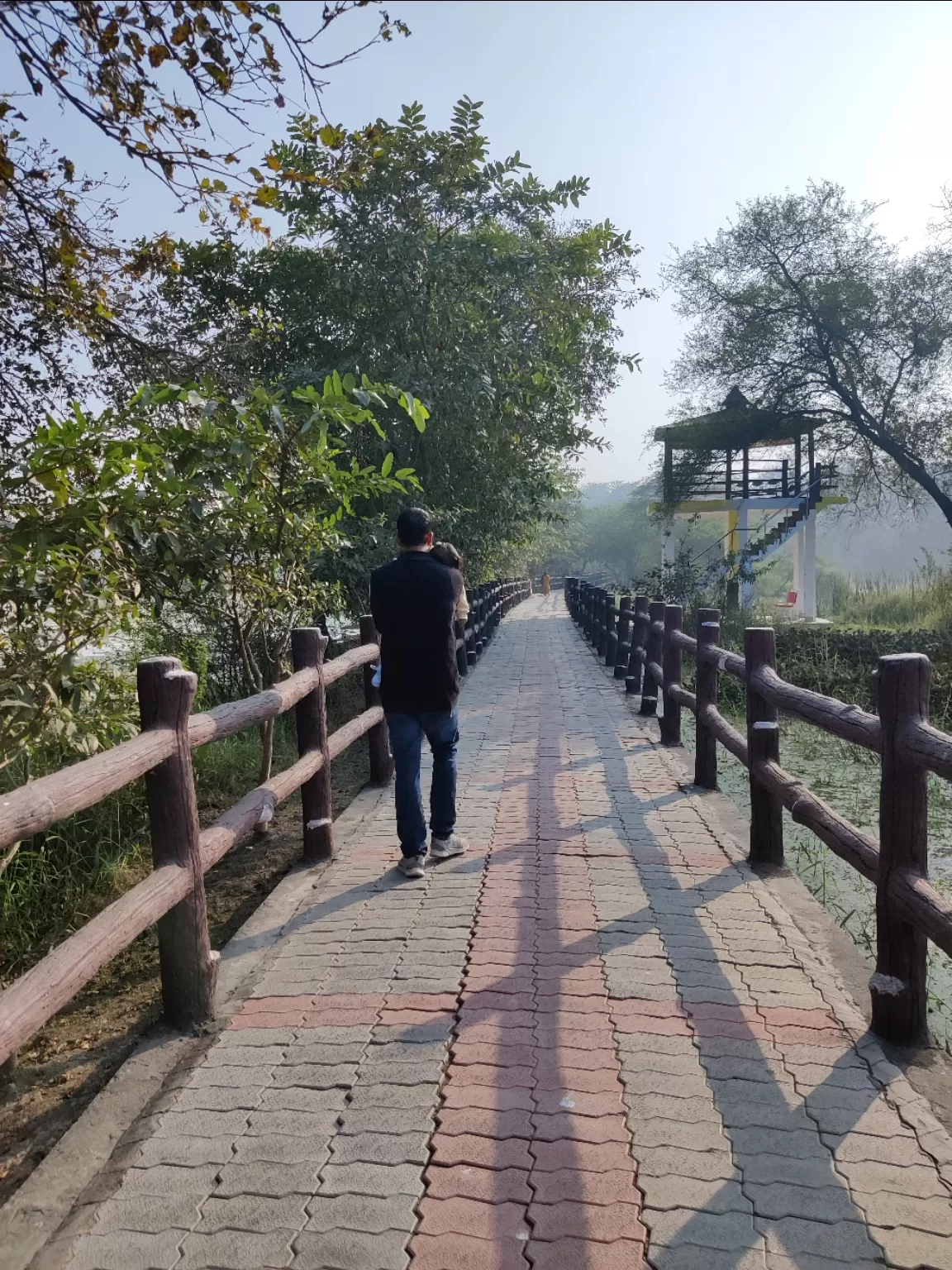 Photo of Shaheed Chandra Shekhar Azad Bird Sanctuary By Shivani Chaturvedi 