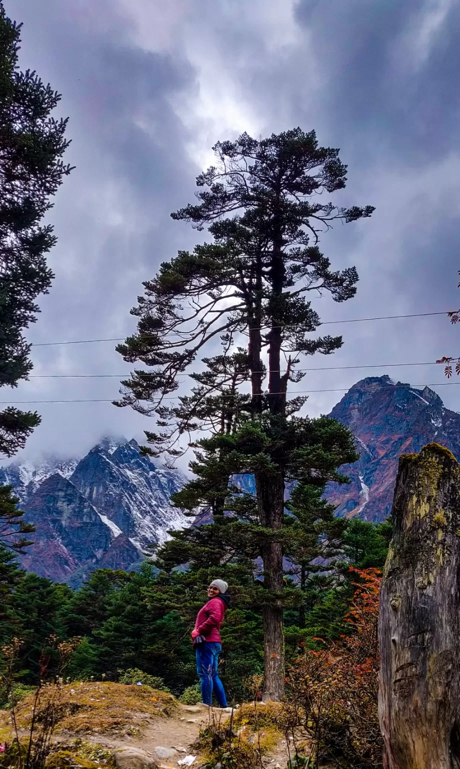 Photo of Yumthang By Umith