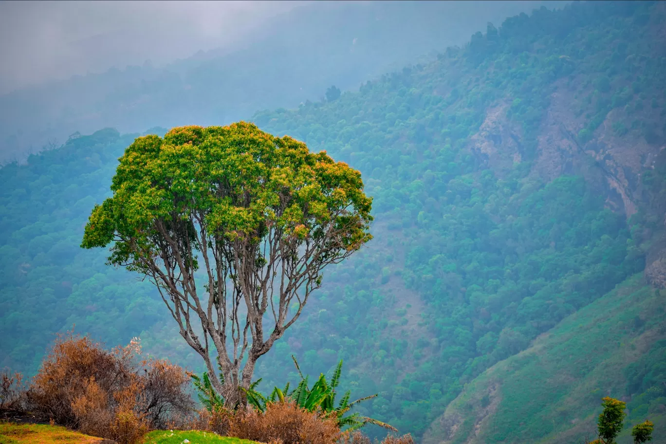 Photo of Kookal Lake By Albert Michael
