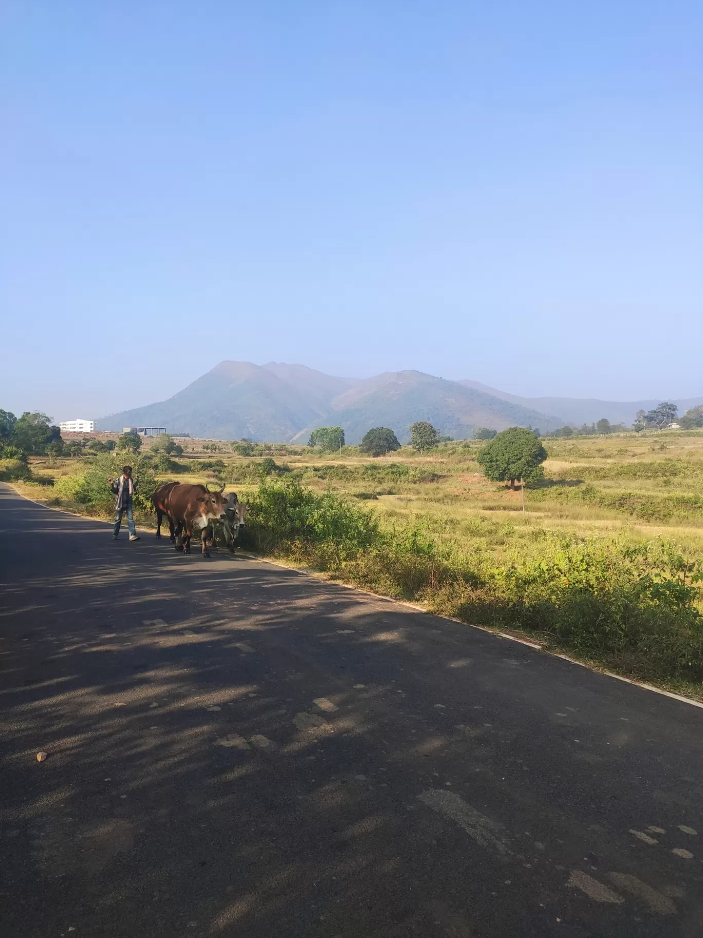 Photo of ARAKU VALLEY By ramana chinna