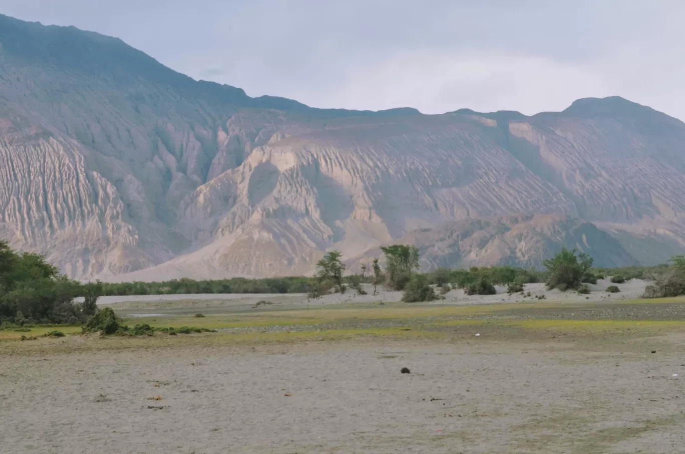Photo of Nubra Valley By Tapas Sahu